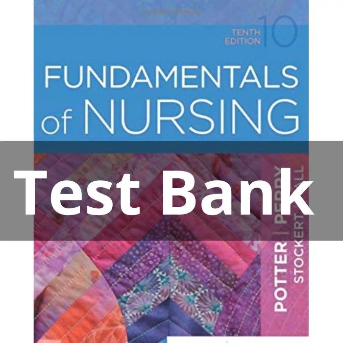 F.a. davis fundamentals of nursing test bank