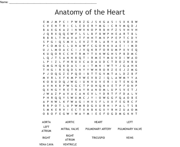 Williams of grey's anatomy crossword