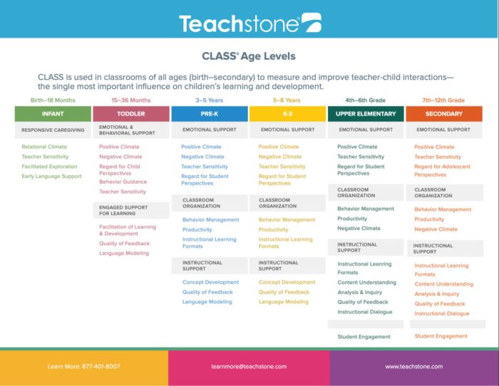 Teachstone class reliability test answers