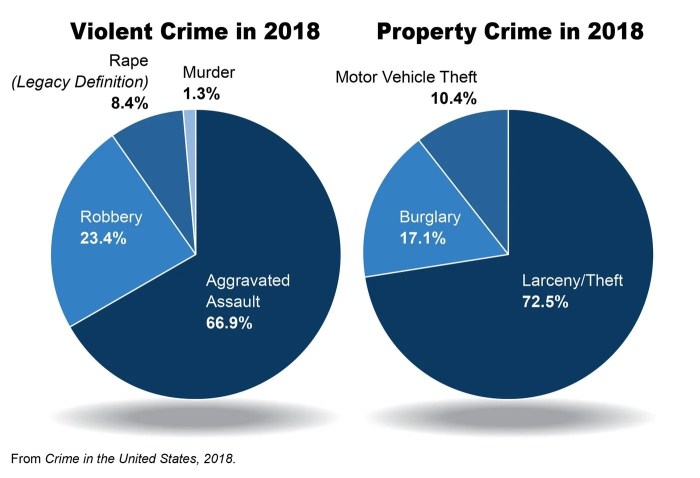 Criminal statistics/data on computer crime are