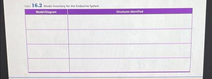 Table 16.2 model inventory for the endocrine system