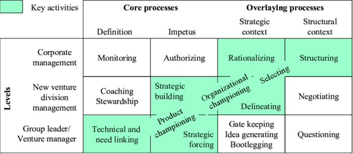 Internal venturing is a more attractive strategy than acquisitions when